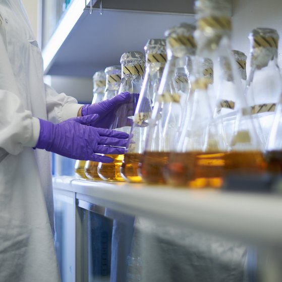 Chemikalien Erlenmeyerkolben mit bräunlich/orangener Flüssigkeit in der Flucht auf einem Tisch. Person mit weißem Kittel und lila Handschuhen in Laborsituation steht im Anschnitt davor.