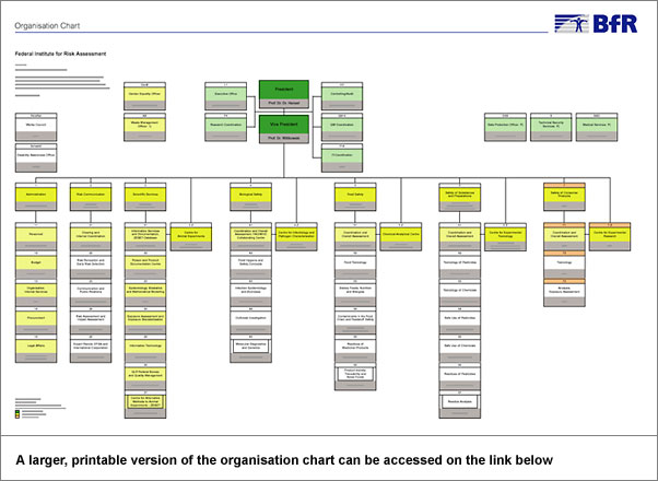 organisation chart spitting