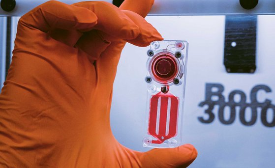 Hand in orangefarbenem Handschuh hält zwischen Daumen und Mittelfinger senkrecht einen Plastikchip. In einer runden Vertiefung befinden sich knochenbildende Zellen.