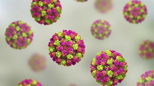Detailaufnahme eines Norovirus
