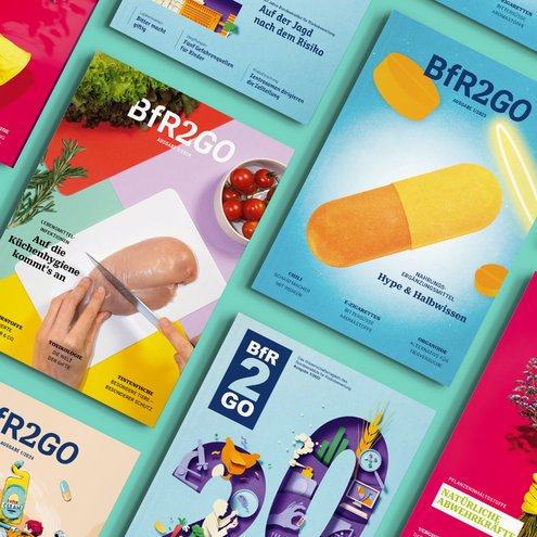 Deckblätter vergangener BfR2GO-Ausgaben